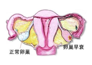 췿ҽԺ