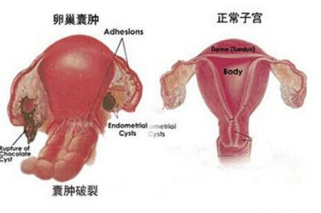 췿ҽԺ